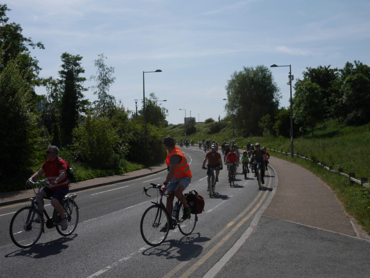 A large group of people cycle towards camera on a two-lane road with grass and greenery on either side and no other traffic.
